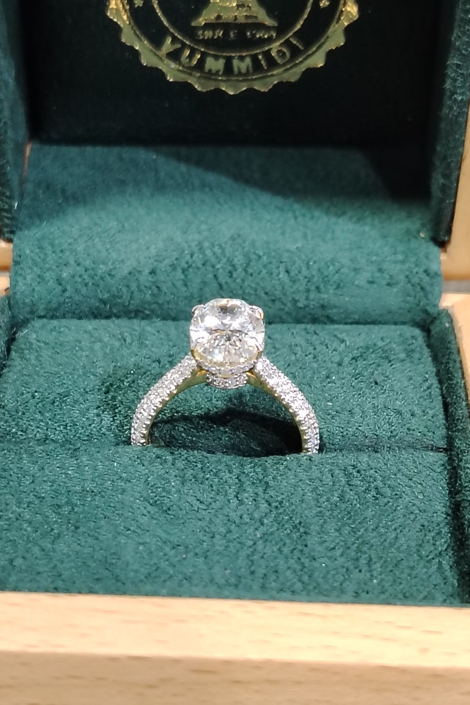 Christina 3 Carat Oval Solitaire Triple Pavé Ring