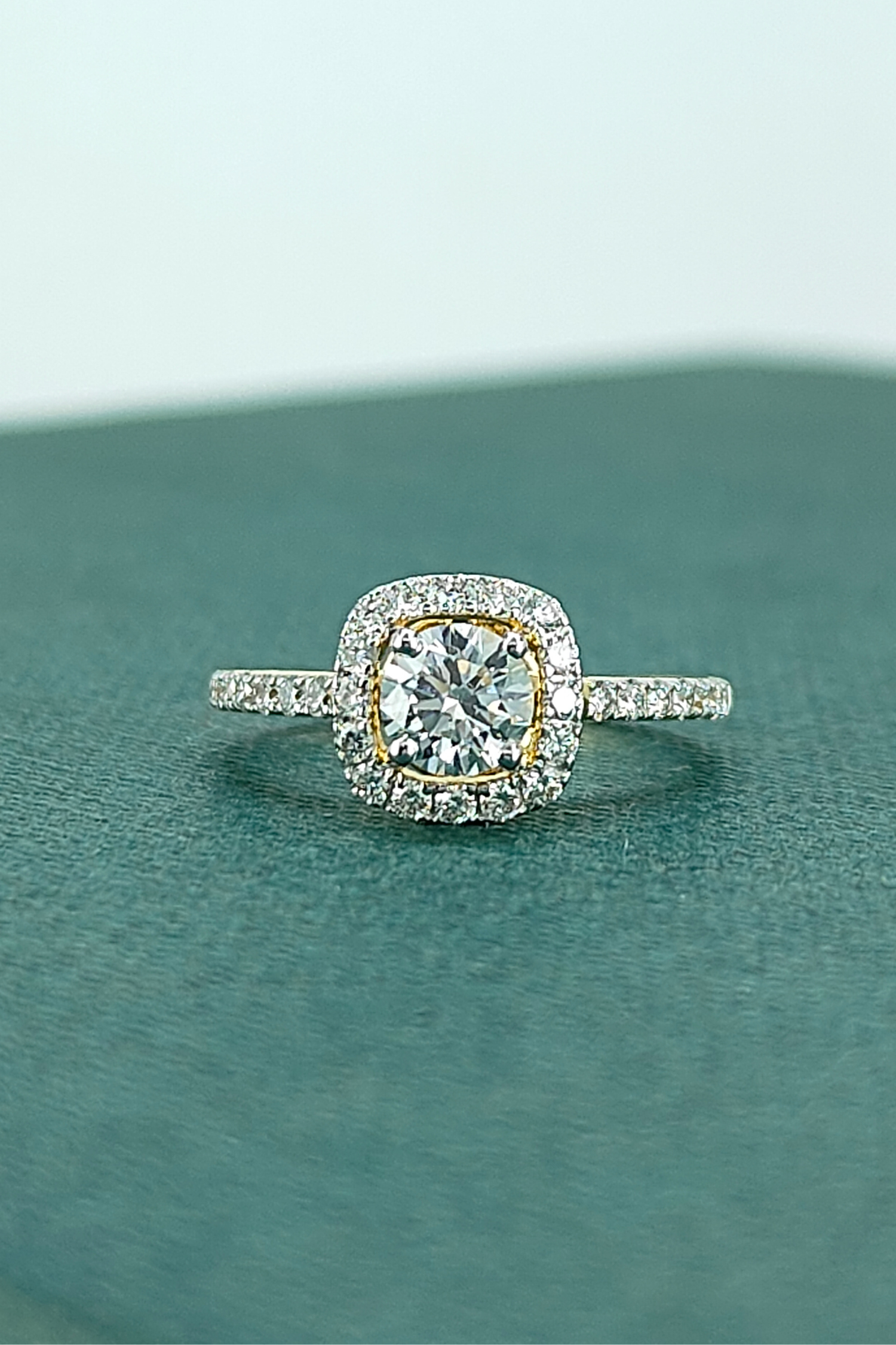 Rosalinda with Round Brilliant Solitaire and Halo on a Pave Ring