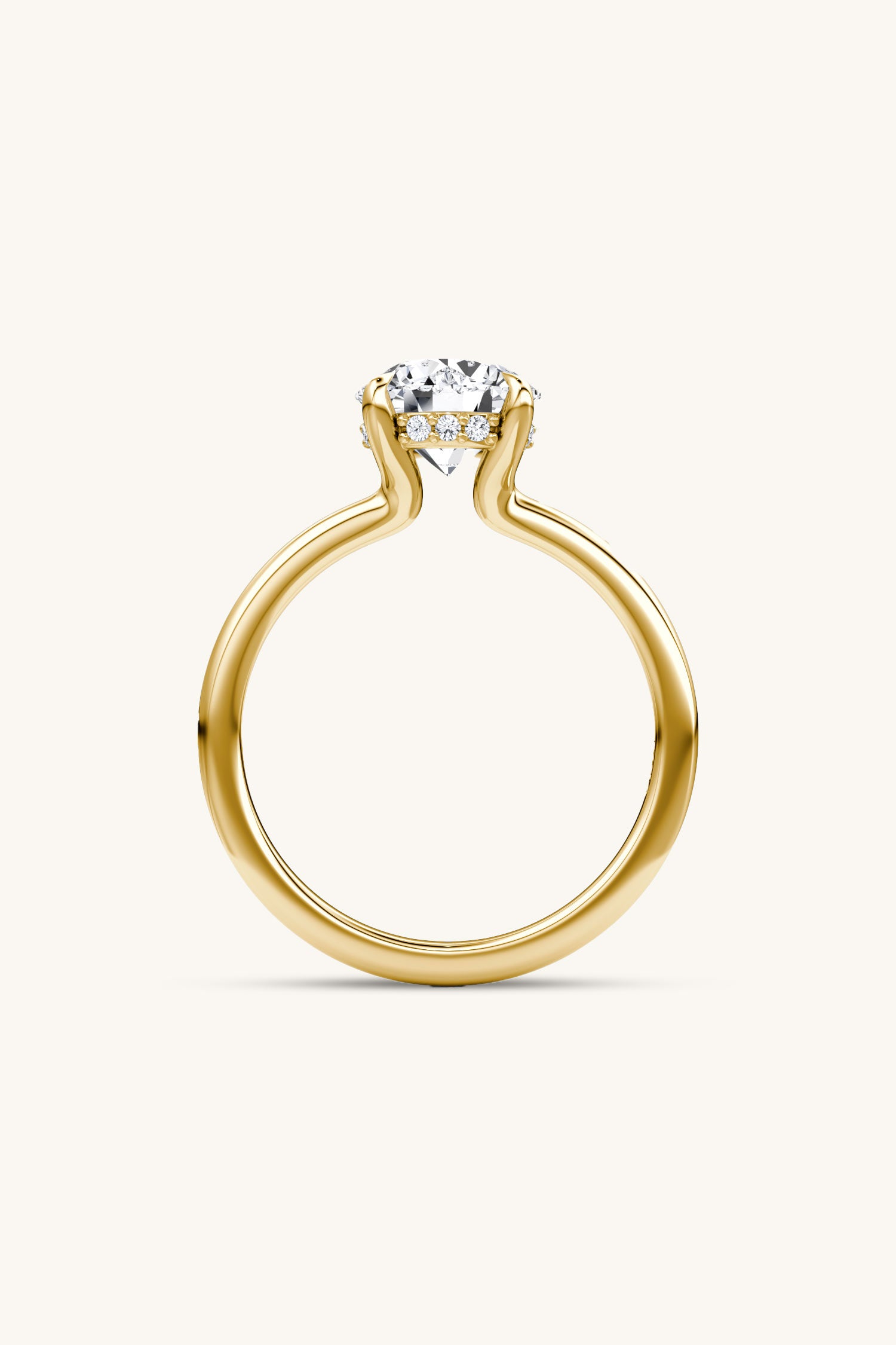 Bella Luna Halo with 1 Carat Round Brilliant Solitaire Ring