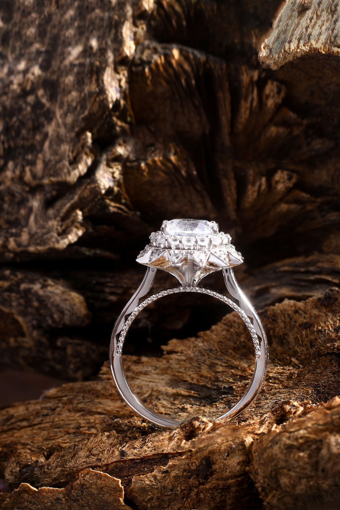 Solitaire Engagement Ring Trends Carat Diamond Most Popular Ring