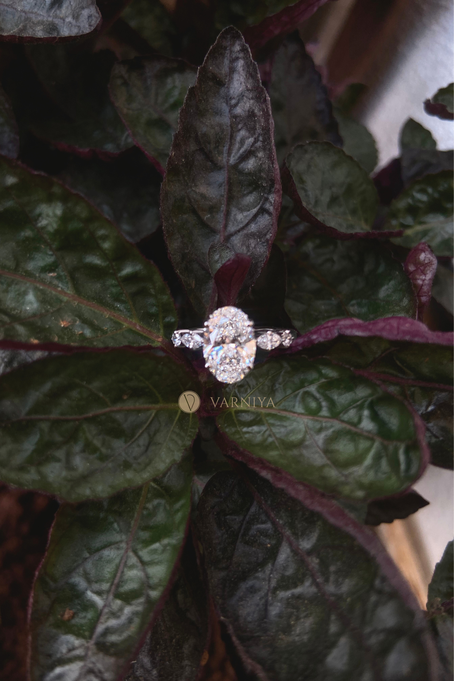 Luminous Grace Hidden Halo Oval Solitaire Pavé Ring