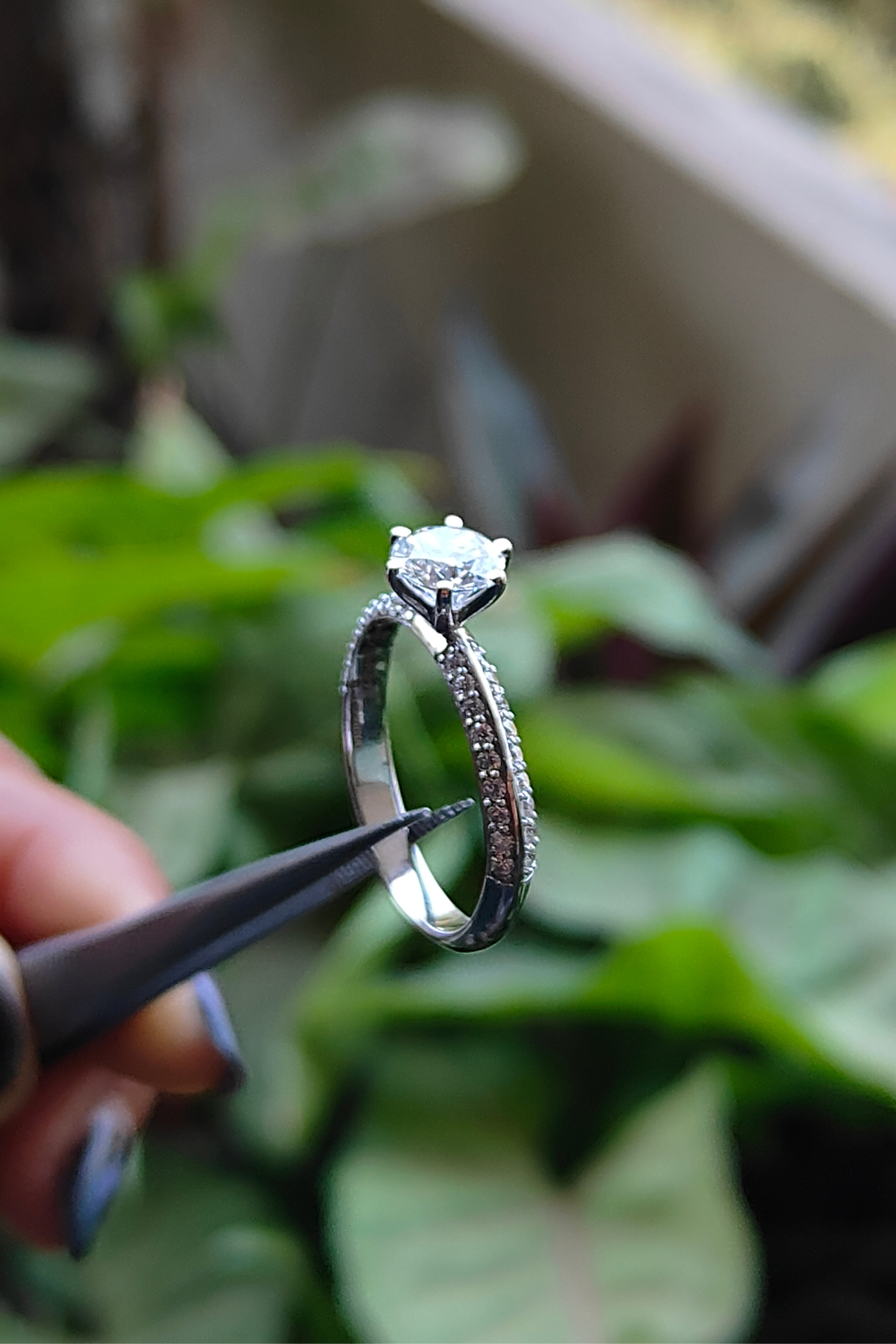 Amália Round Brilliant Solitaire Pavé Ring