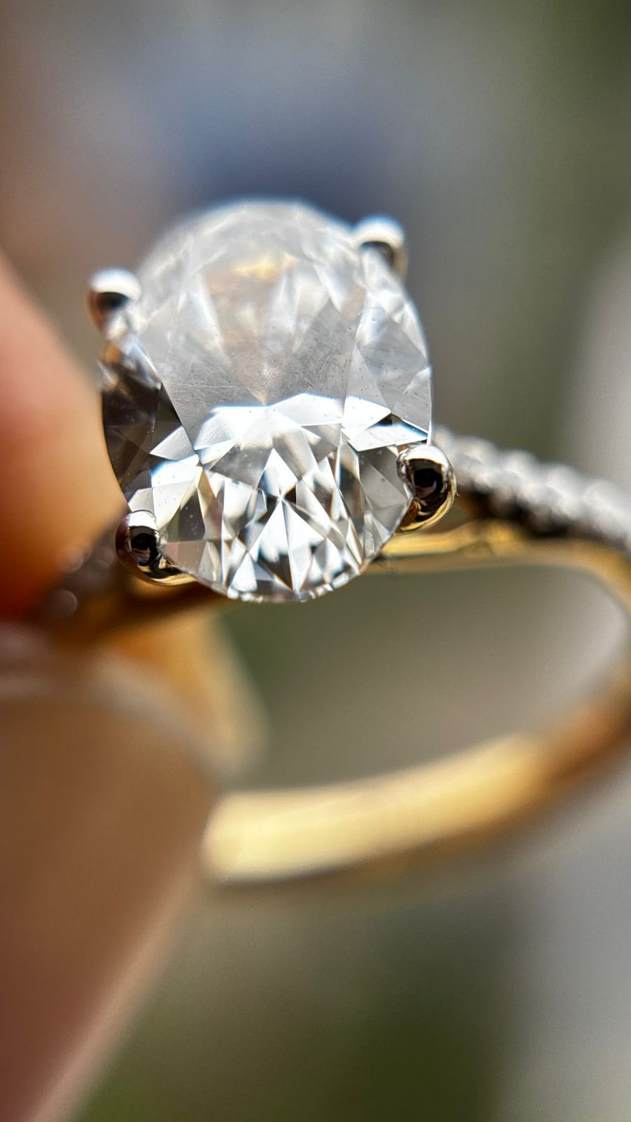 Valentina Pavé Ring with an Oval Solitaire